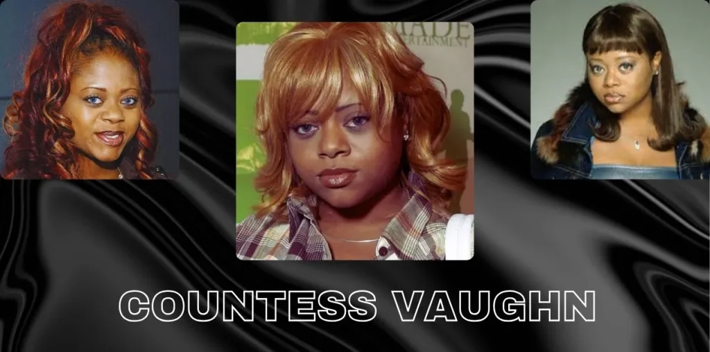 Countess Vaughn Net Worth 