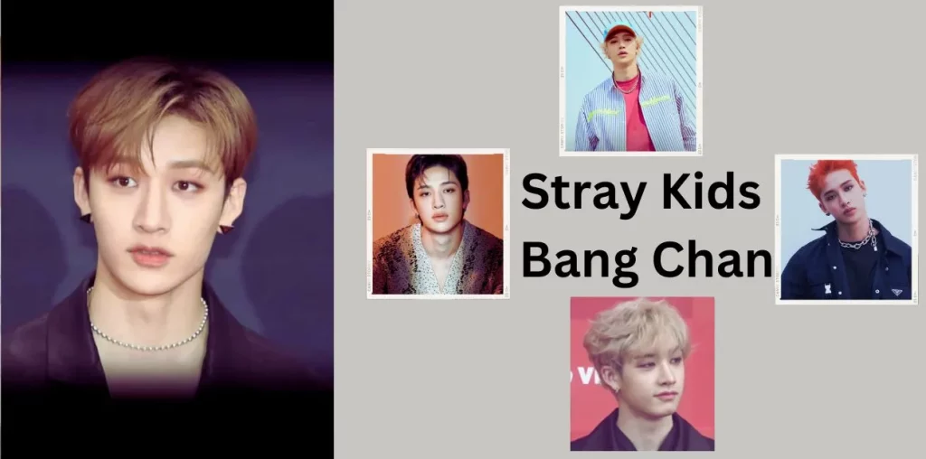 Stray Kids Bang Chan 