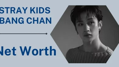Stray Kids Bang Chan Net Worth