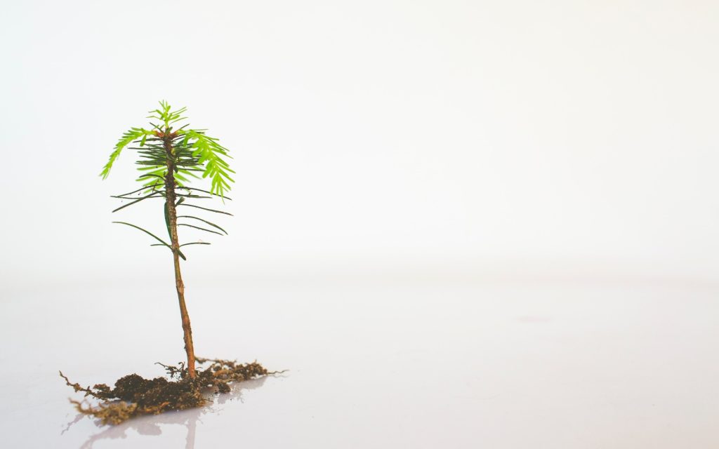 From Sprout To Sequoia: Orchestrating The Symphony Of Iot Growth And Cloud Scalability