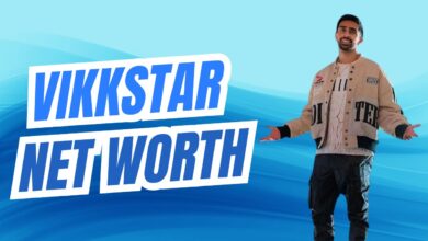 Vikkstar Net Worth