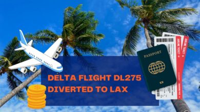 delta flight dl275 diverted lax